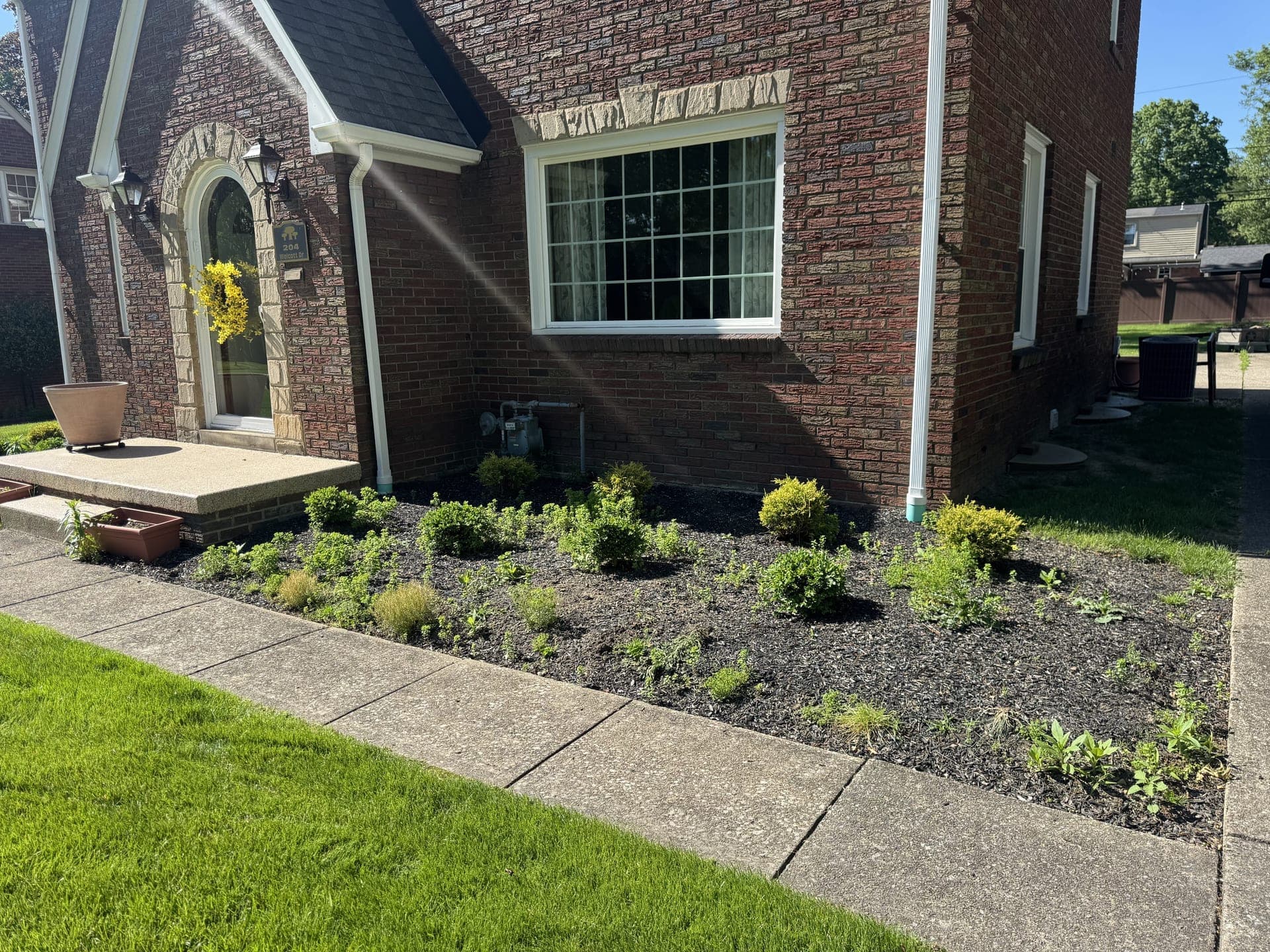 Overgrown mulch beds before landscaping
