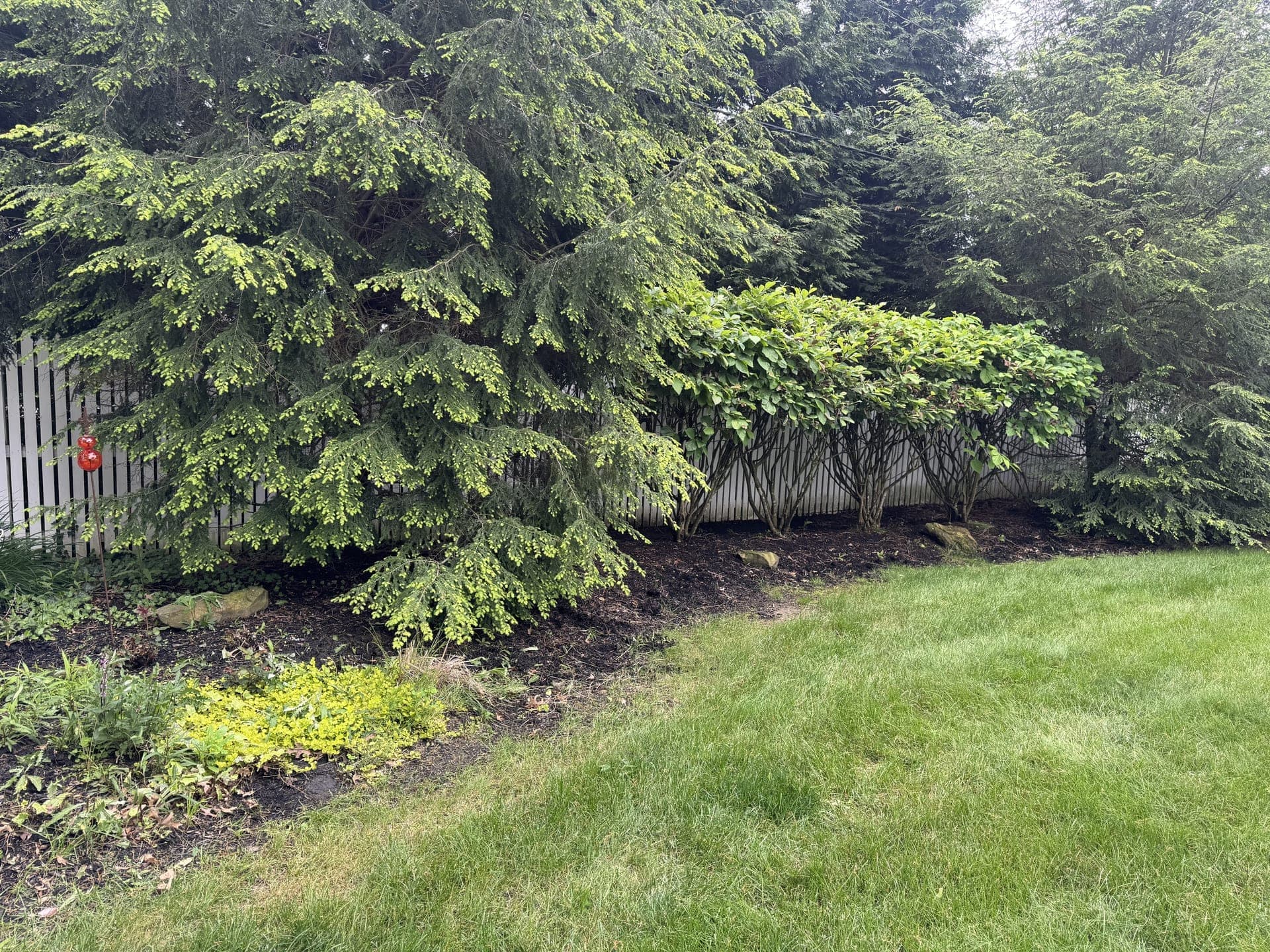 Neglected flower bed before professional weeding